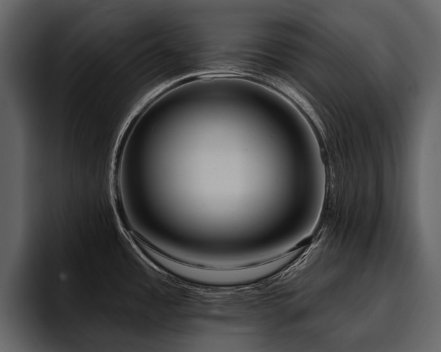 X0000095921485200801111225