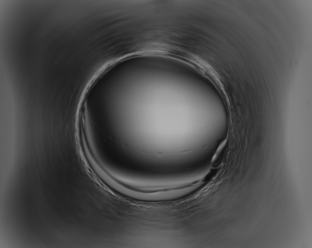 X0000095921488200801111225