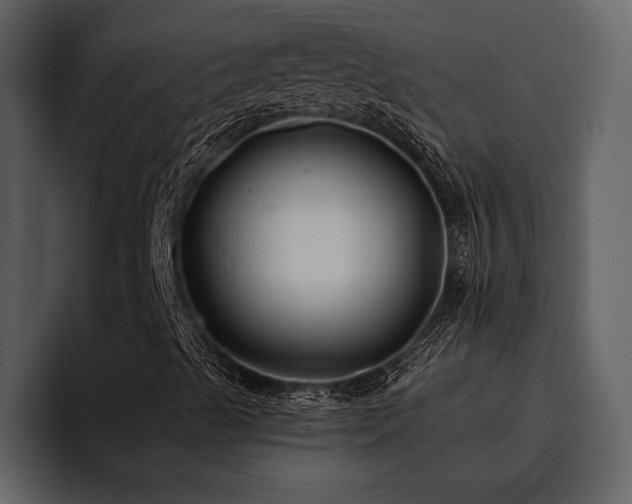 X0000095921489200801111224