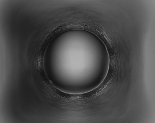 X0000095921490200801111224
