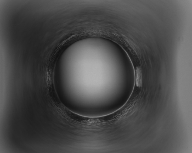 X0000095921491200801111224