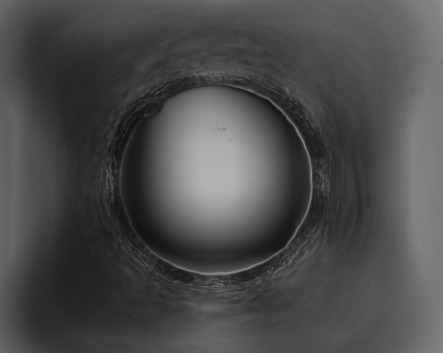 X0000095921493200801111224