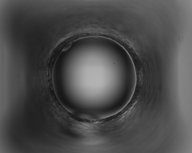 X0000095921494200801111224