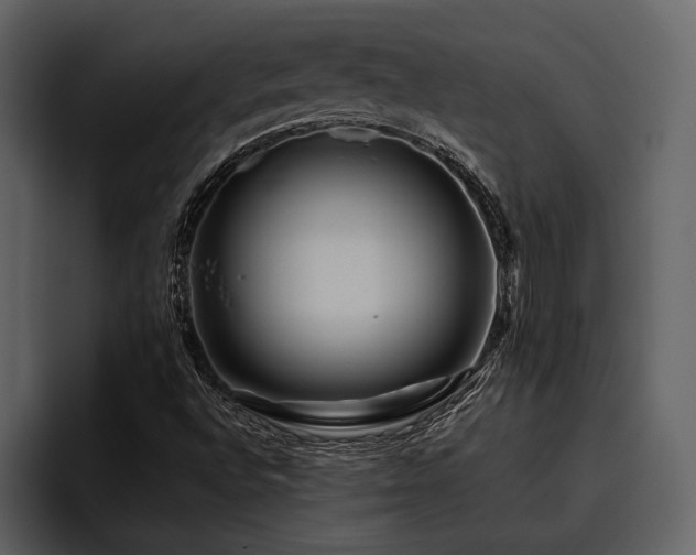 X0000095921496200801111224