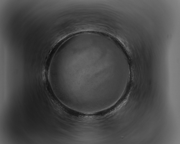 X0000095921497200801111224