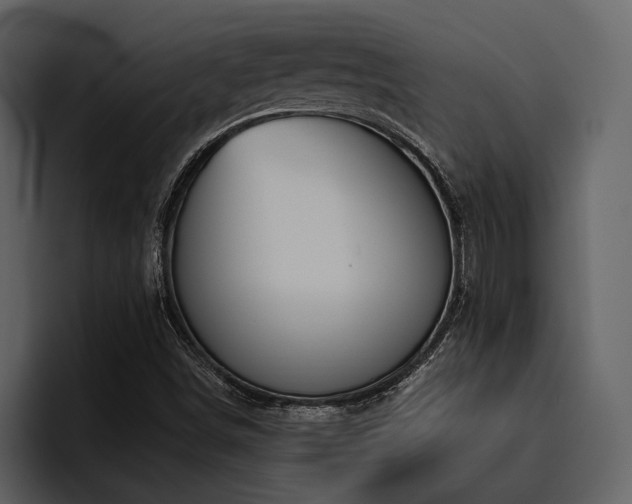 X0000095921498200801111224