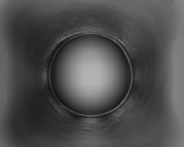 X0000095921499200801111224