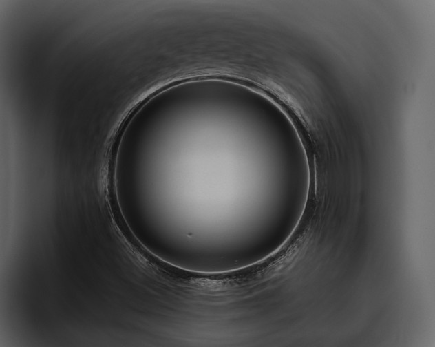 X0000095921500200801111224