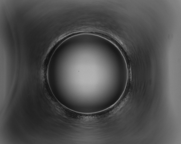 X0000095921501200801111225