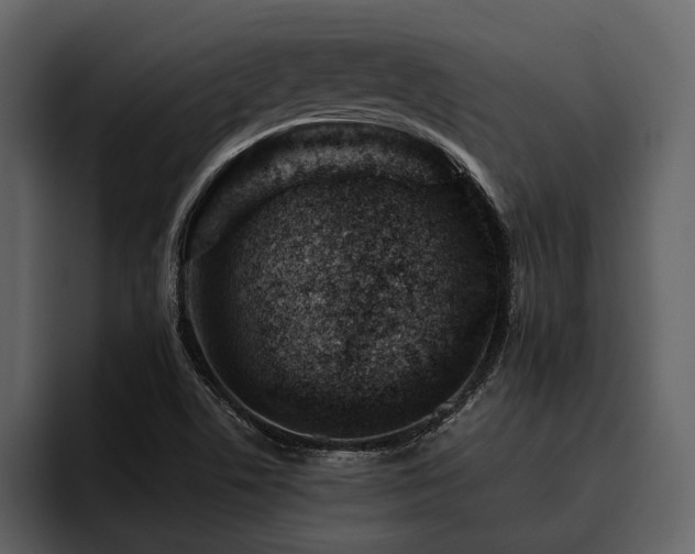 X0000095921506200801111225