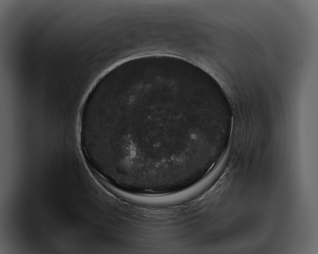 X0000095921508200801111225