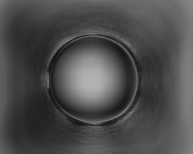 X0000095921509200801111225