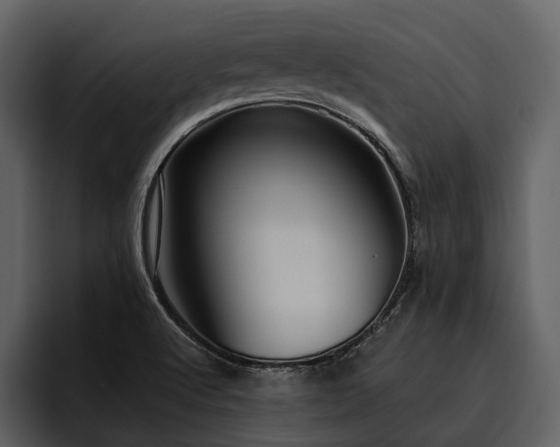 X0000095921512200801111225
