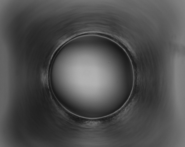 X0000095921513200801111225