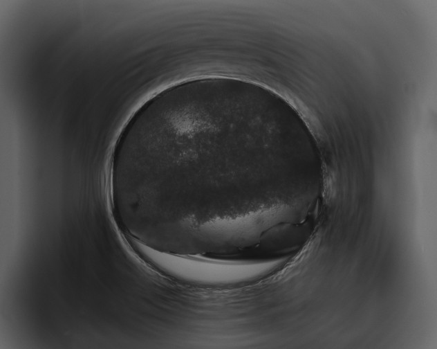 X0000095921515200801111225