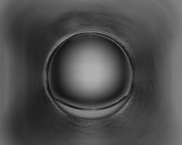 X0000095921517200801111225