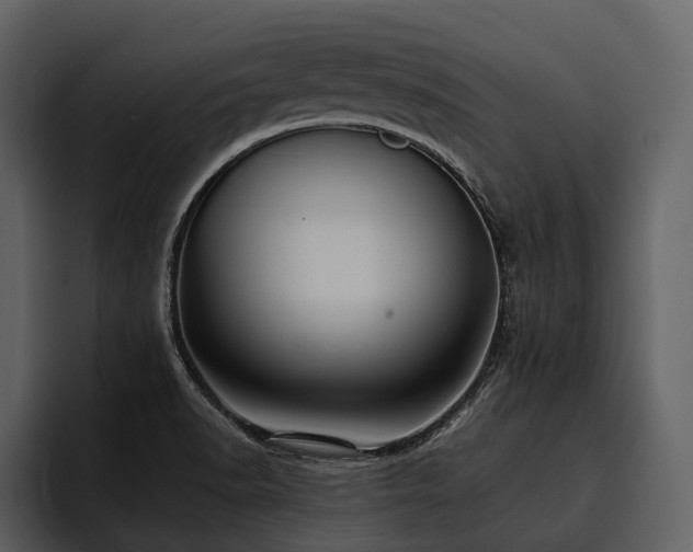 X0000095921518200801111225