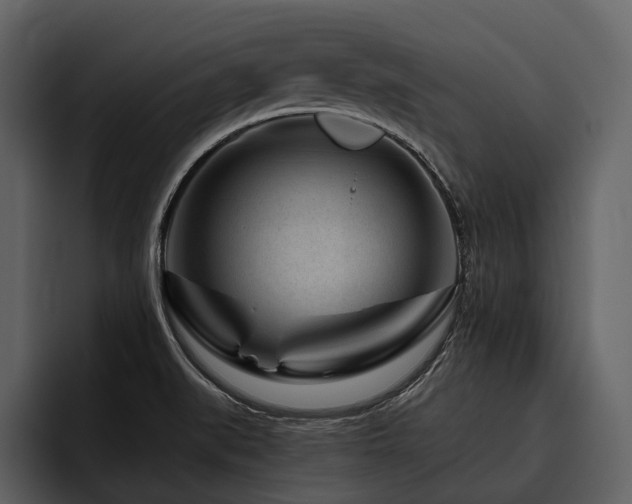 X0000095921519200801111225