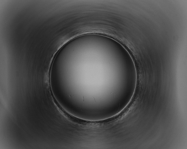 X0000095921521200801111225