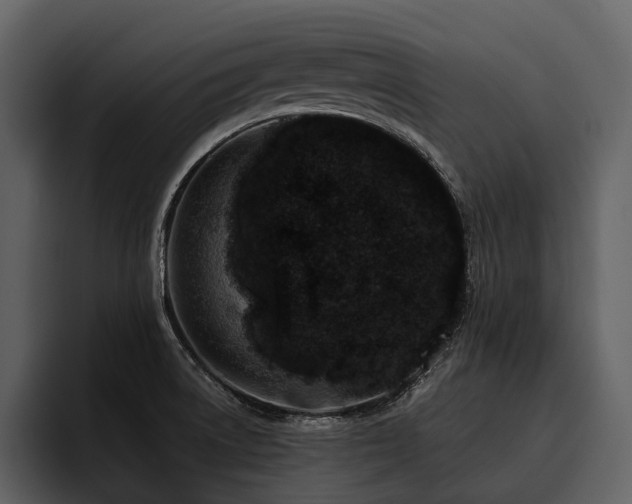 X0000095921522200801111225