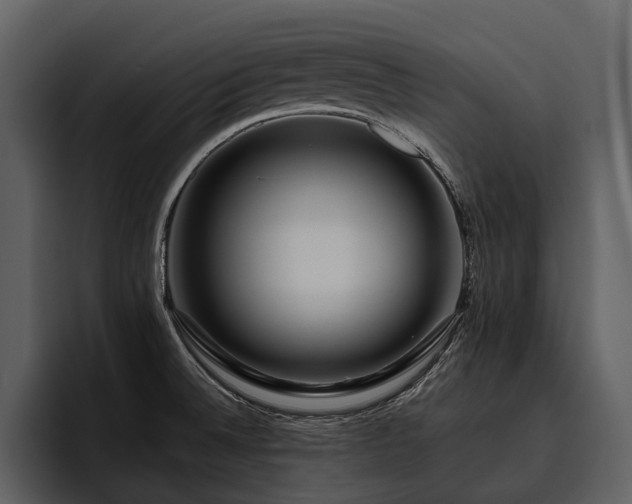 X0000095921524200801111225