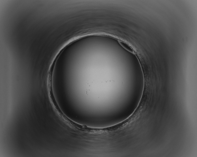 X0000095921526200801111225