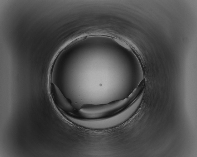 X0000095921528200801111225