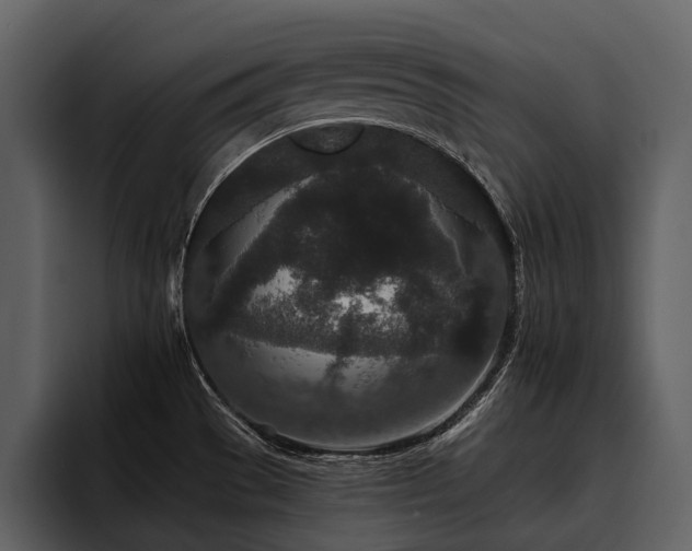 X0000095921529200801111225