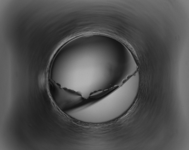 X0000095921530200801111225