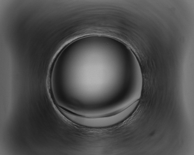X0000095921531200801111225