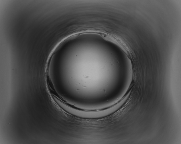 X0000095921532200801111225