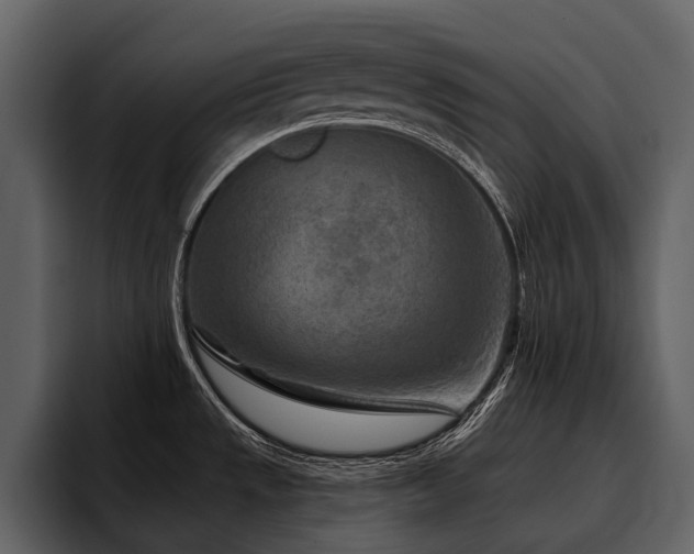 X0000095921533200801111225
