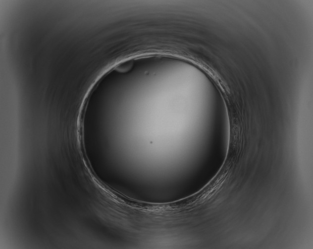 X0000095921535200801111225
