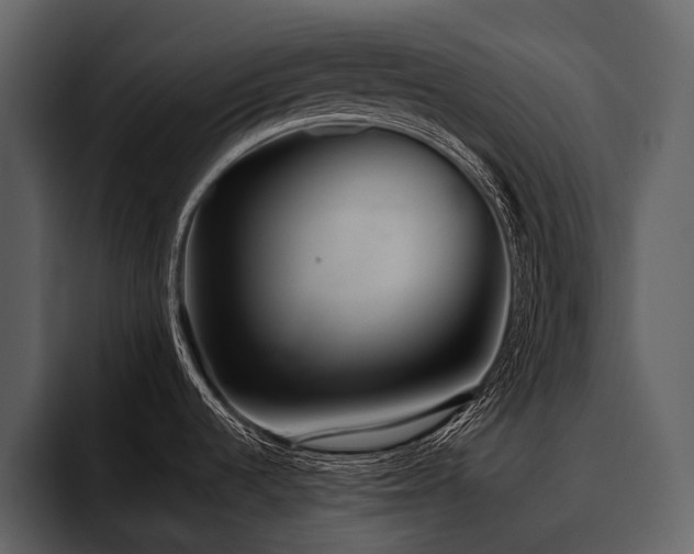 X0000095921536200801111225