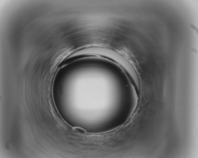 X0000095920001200801181428