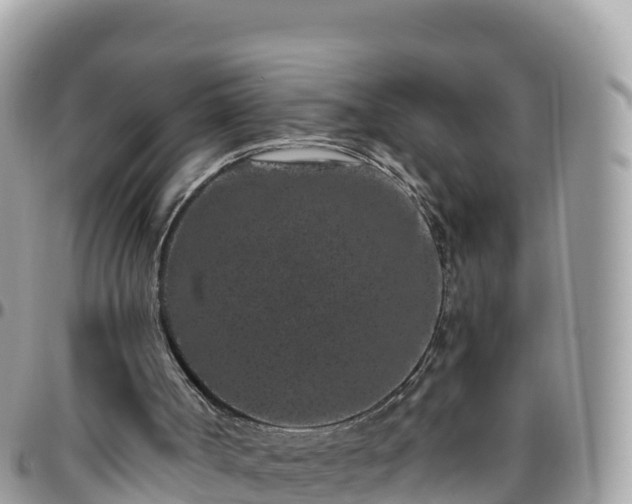 X0000095920002200801181428