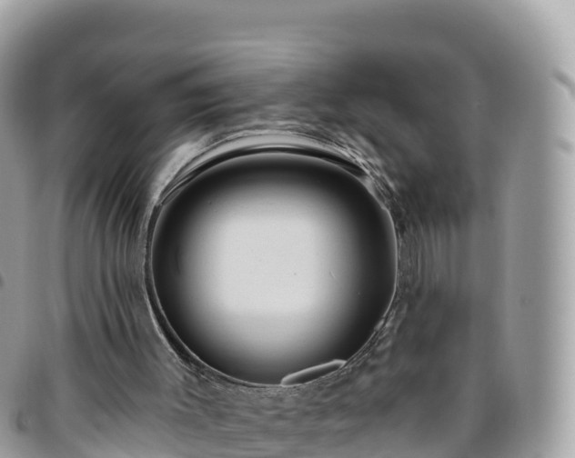 X0000095920003200801181428