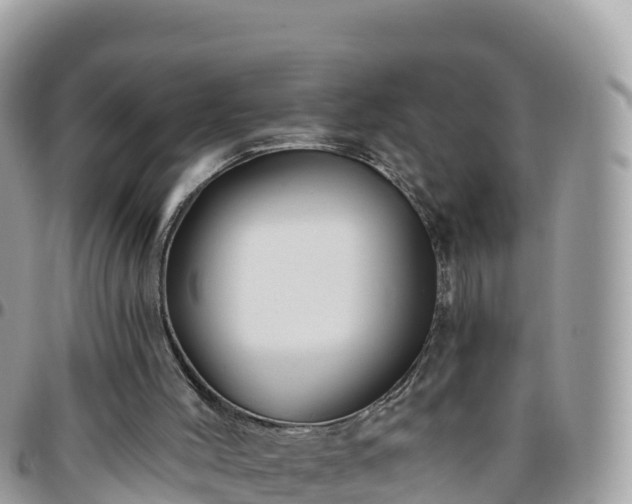 X0000095920004200801181428