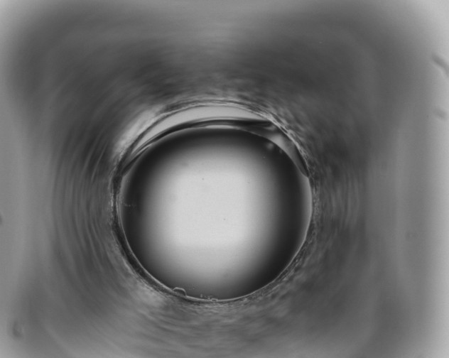 X0000095920005200801181428