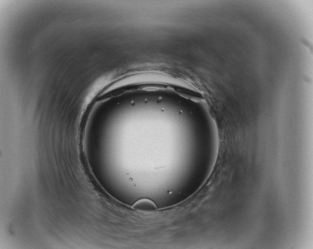 X0000095920006200801181428