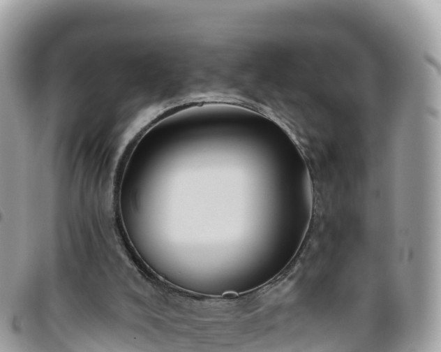 X0000095920008200801181428