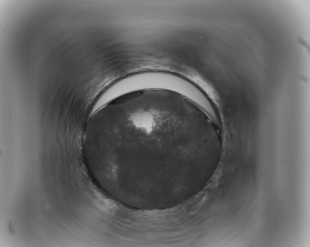 X0000095920009200801181428