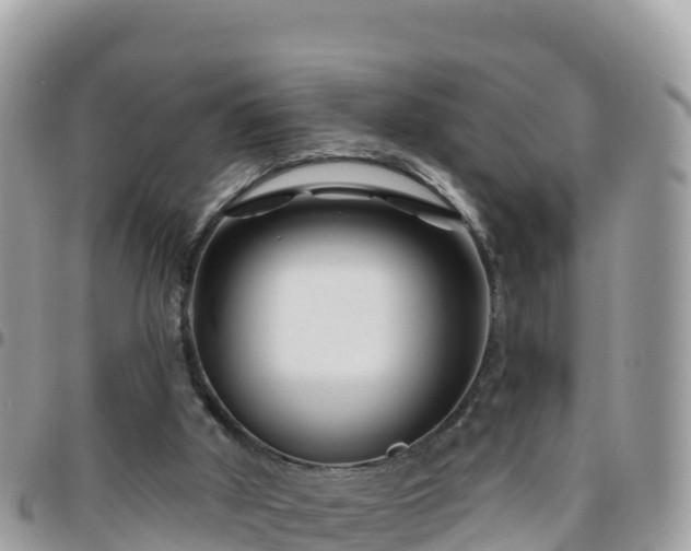 X0000095920010200801181428