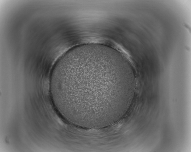 X0000095920012200801181428