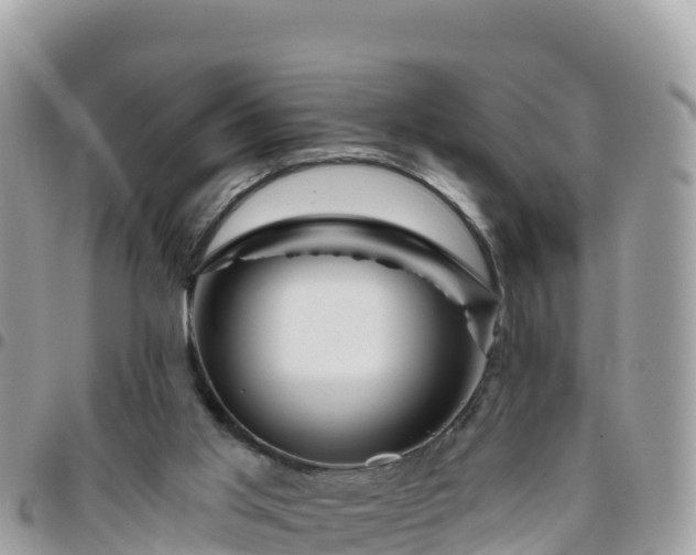 X0000095920013200801181428