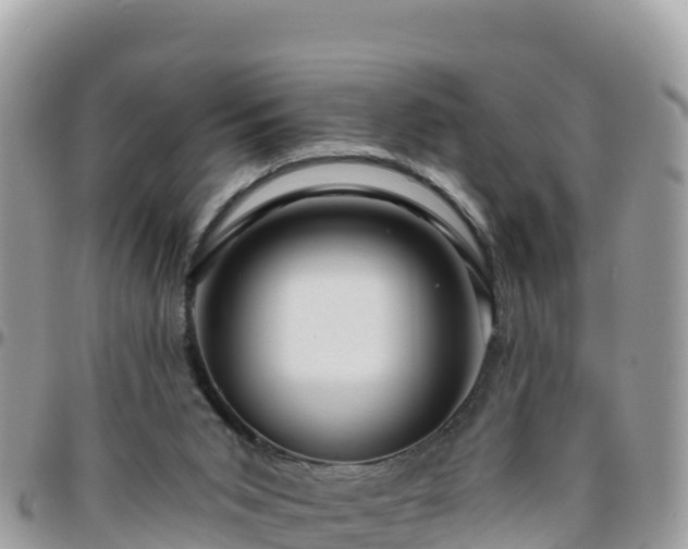 X0000095920015200801181428