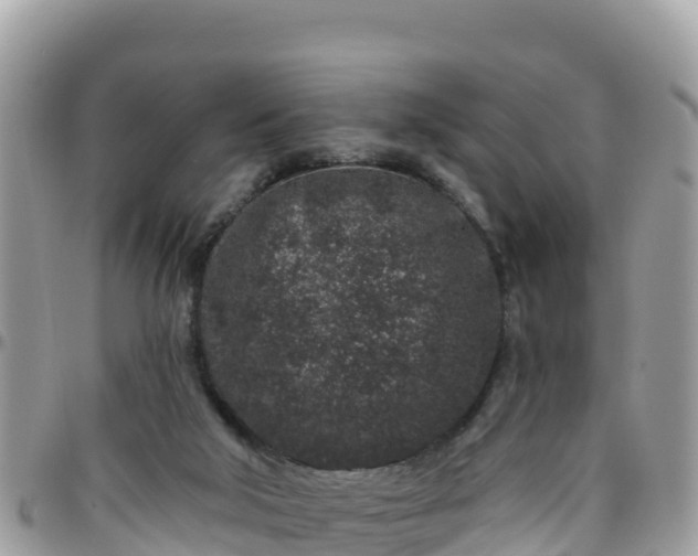 X0000095920018200801181428