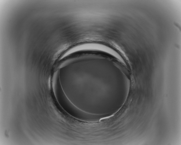 X0000095920019200801181428