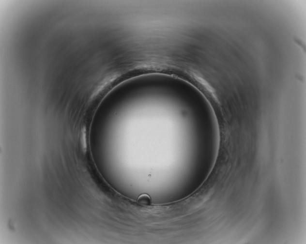 X0000095920020200801181428