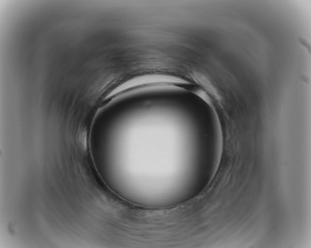 X0000095920021200801181428